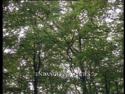 Épisode 10