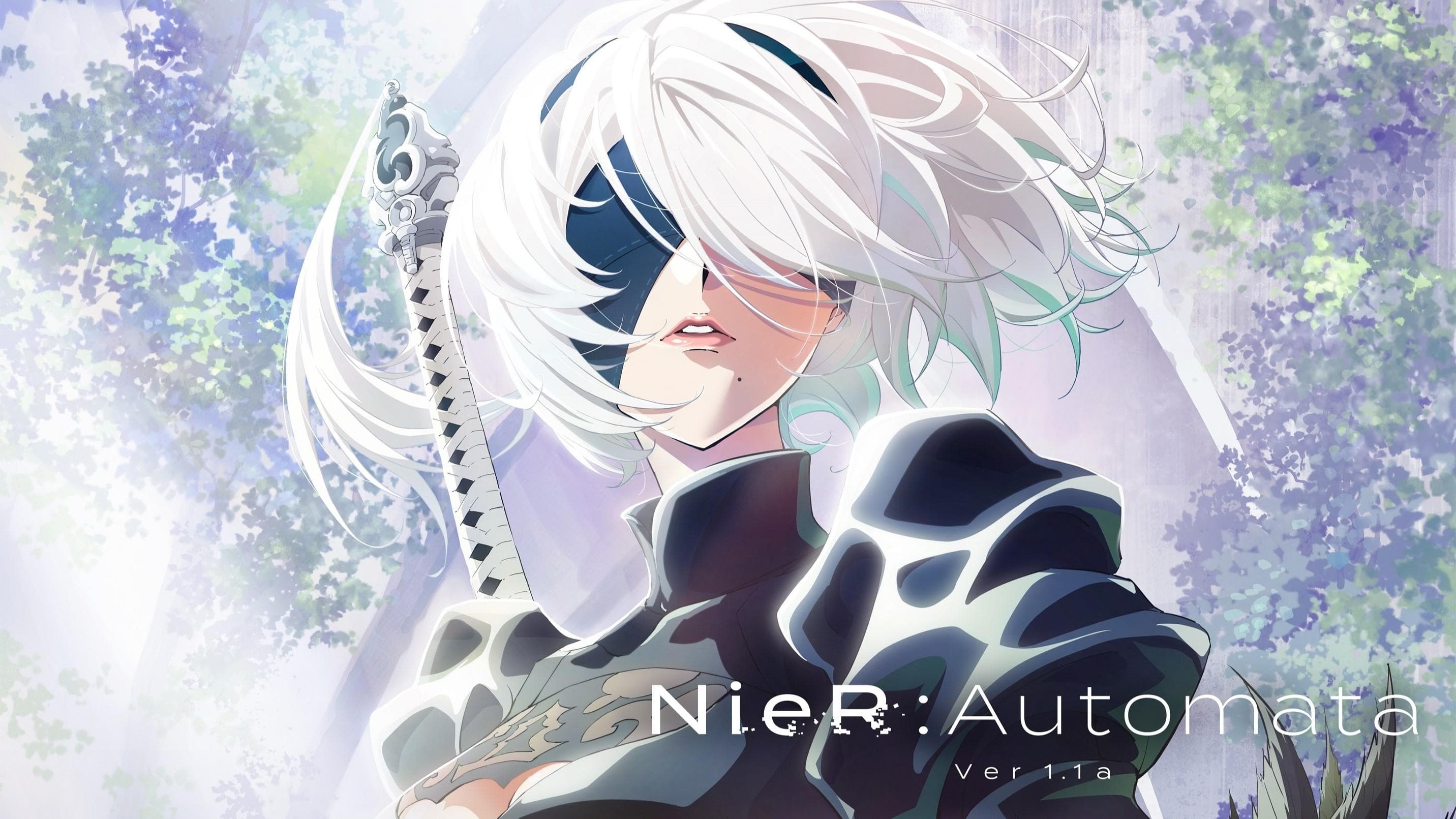 NieR Automata Ver1.1a
