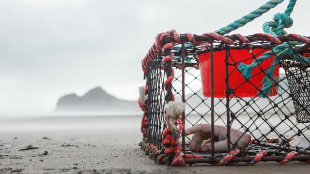La pêche du jour