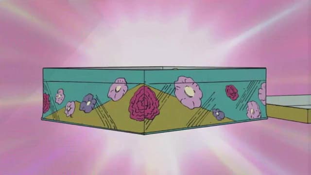 Épisode 19