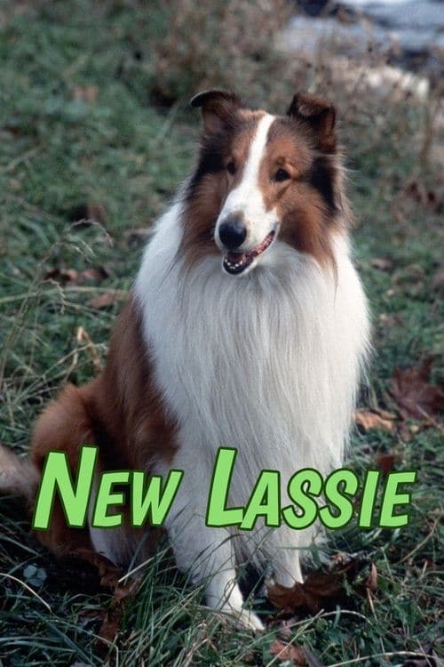The New Lassie VF Streaming Français