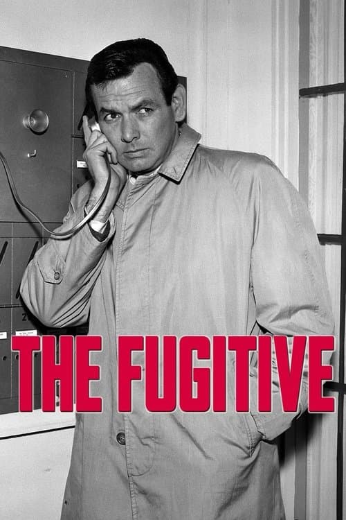 Le Fugitif VF Streaming Français