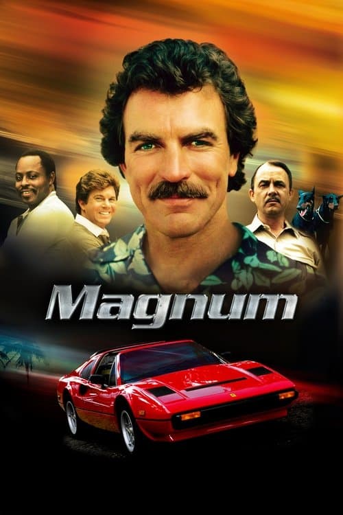 Magnum VF Streaming Français