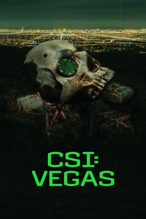 CSI: Vegas VF Streaming Français